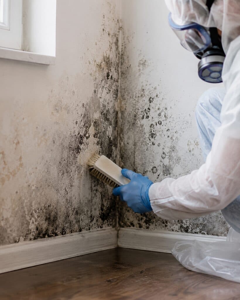 Mold Remediation